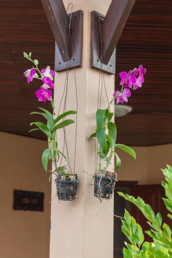 Family-Friendly House, A Few Steps From The Pool And Close To The Ocean. 梅尔皮姆 外观 照片